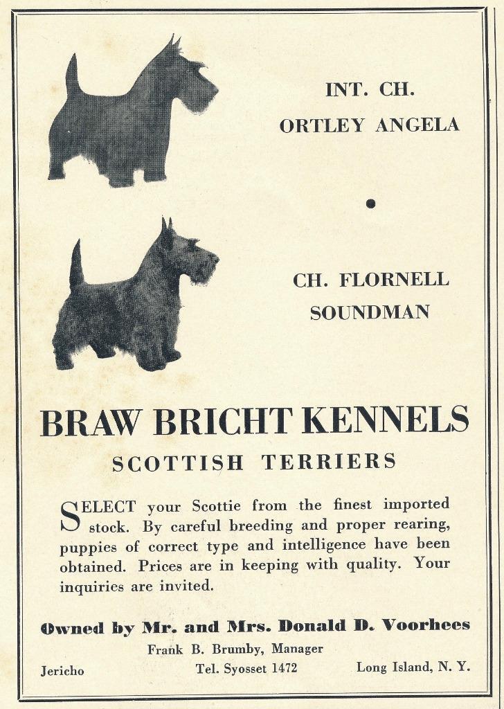 Magazine Ad - 1935 - Braw Bright Kennels - Scottish Terriers - Jericho, L.I., NY