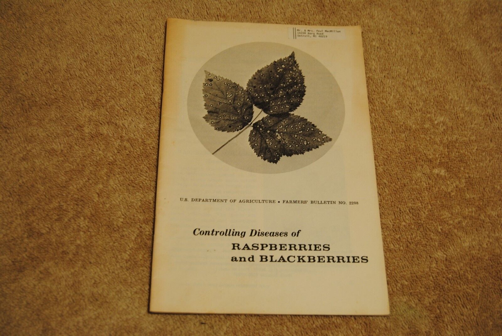 Vintage 1975 U.S. Department of Agriculture Farmer’s Bulletin No. 2208 Berries
