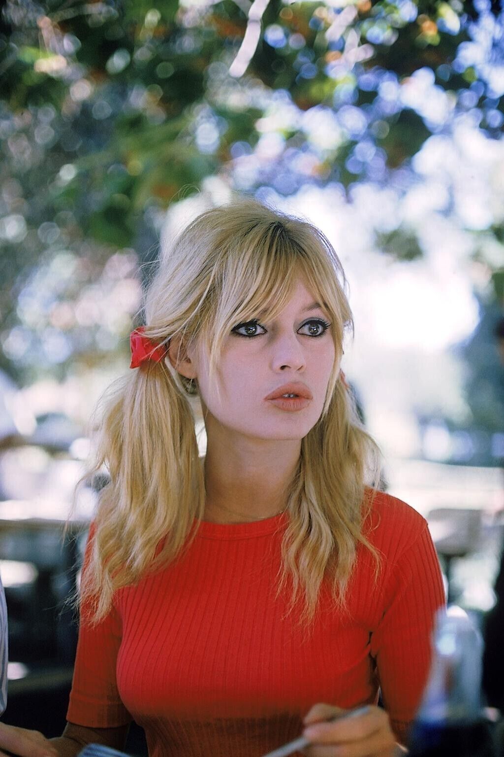 The only Bridget Bardot Vintage Photograph you will ever need Beyond Stunning