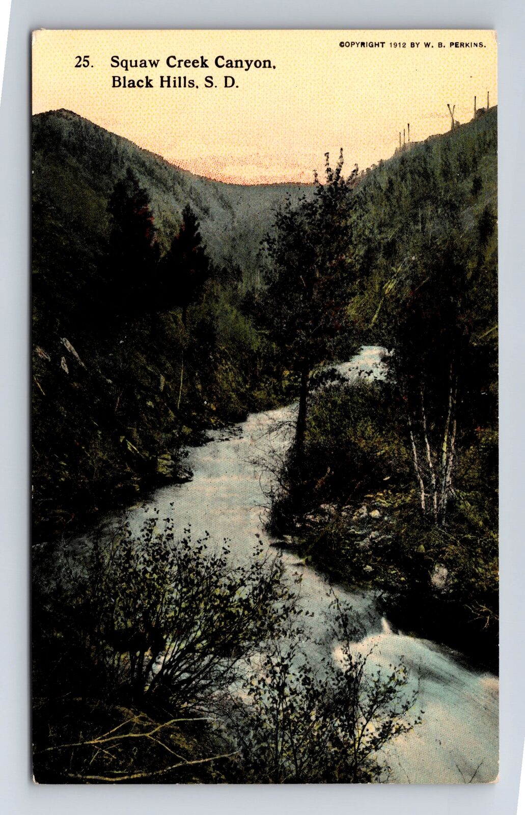 Black Hill SD-South Dakota, Squaw Creek Canyon, Souvenir Vintage Postcard