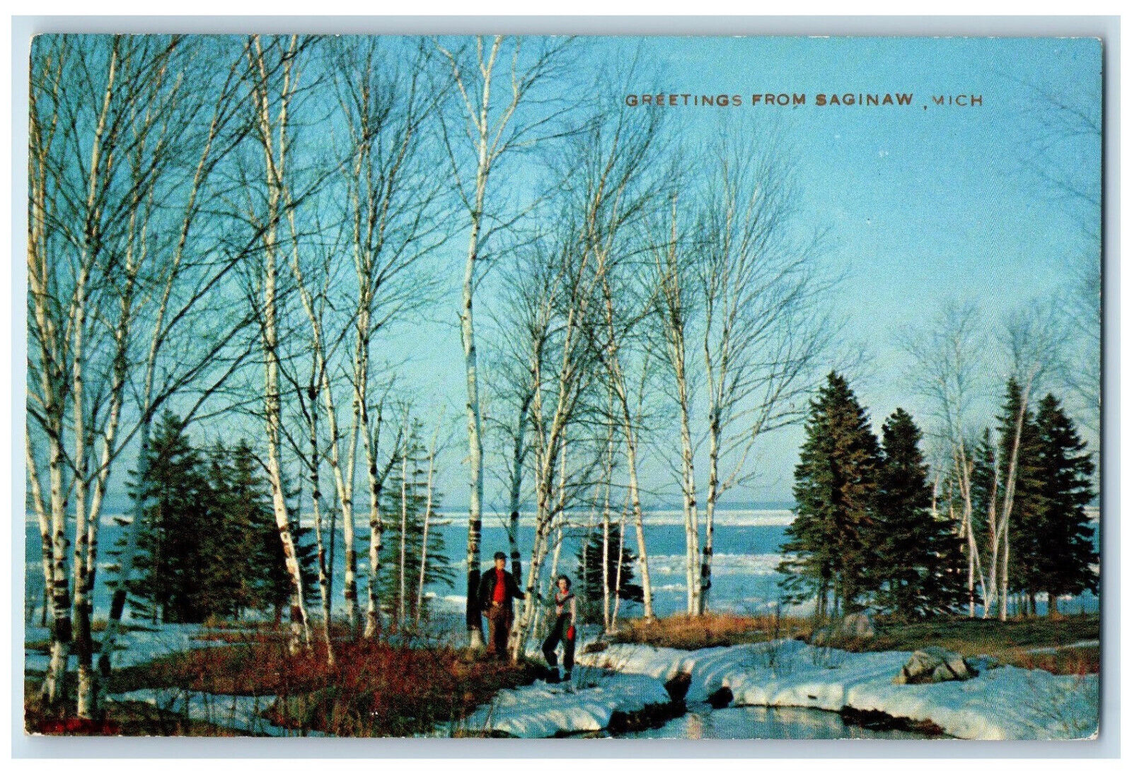 c1950\'s Greetings from Saginaw Michigan MI Vintage Unposted Postcard