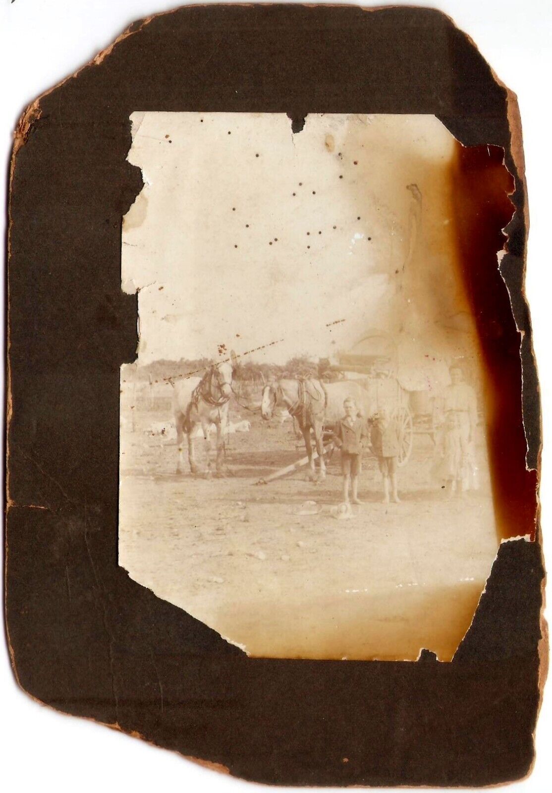 Scarce Cabinet Card of a Family with Horses from Rogers Texas