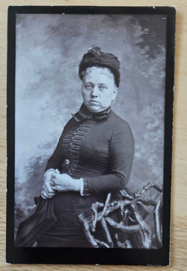 Lynn, MA CDV large woman w duck handled umbrella, rustic chair, 1880s, R.A. Reed