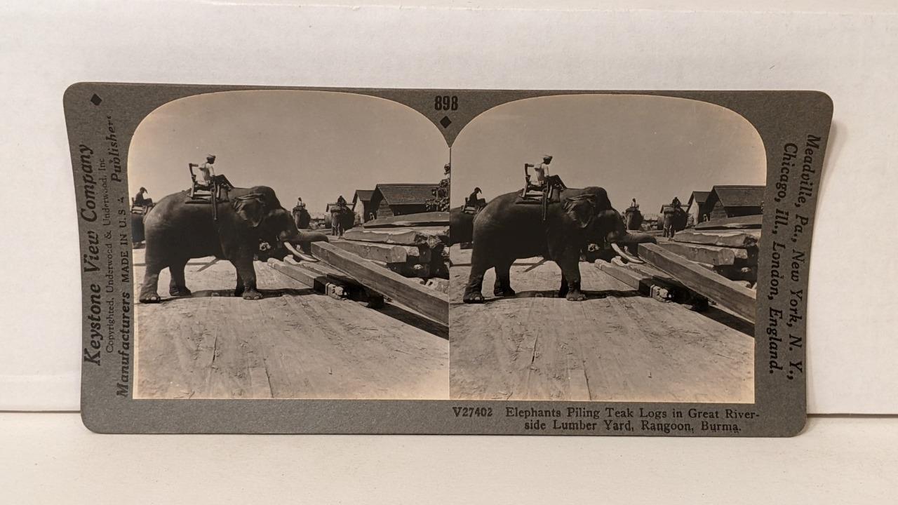 a484, Keystone SV; Elephants Piling Teak Logs at Lumber Yard; 898-V27402, 1930