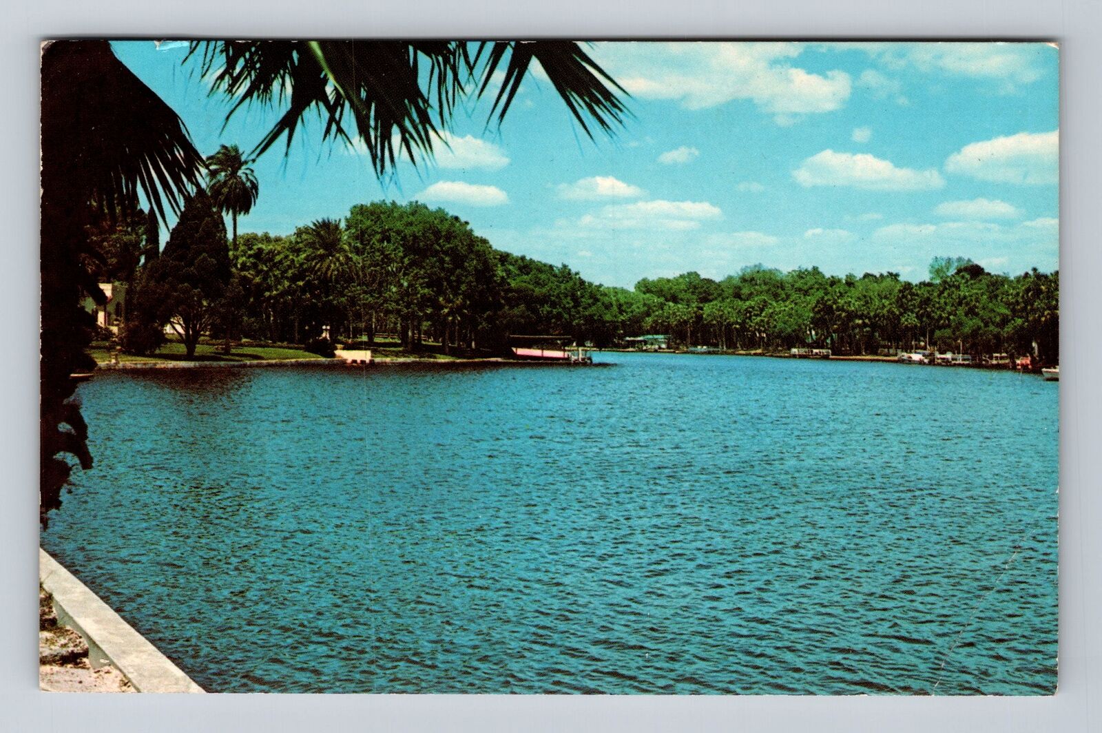 New Port Richey FL-Florida, Pithlachascotee River, Vintage c1970 Postcard