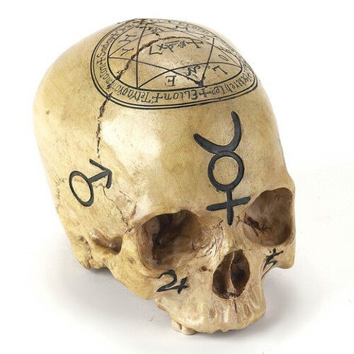 Realistic Alchemy Skull Figurine 6.5\