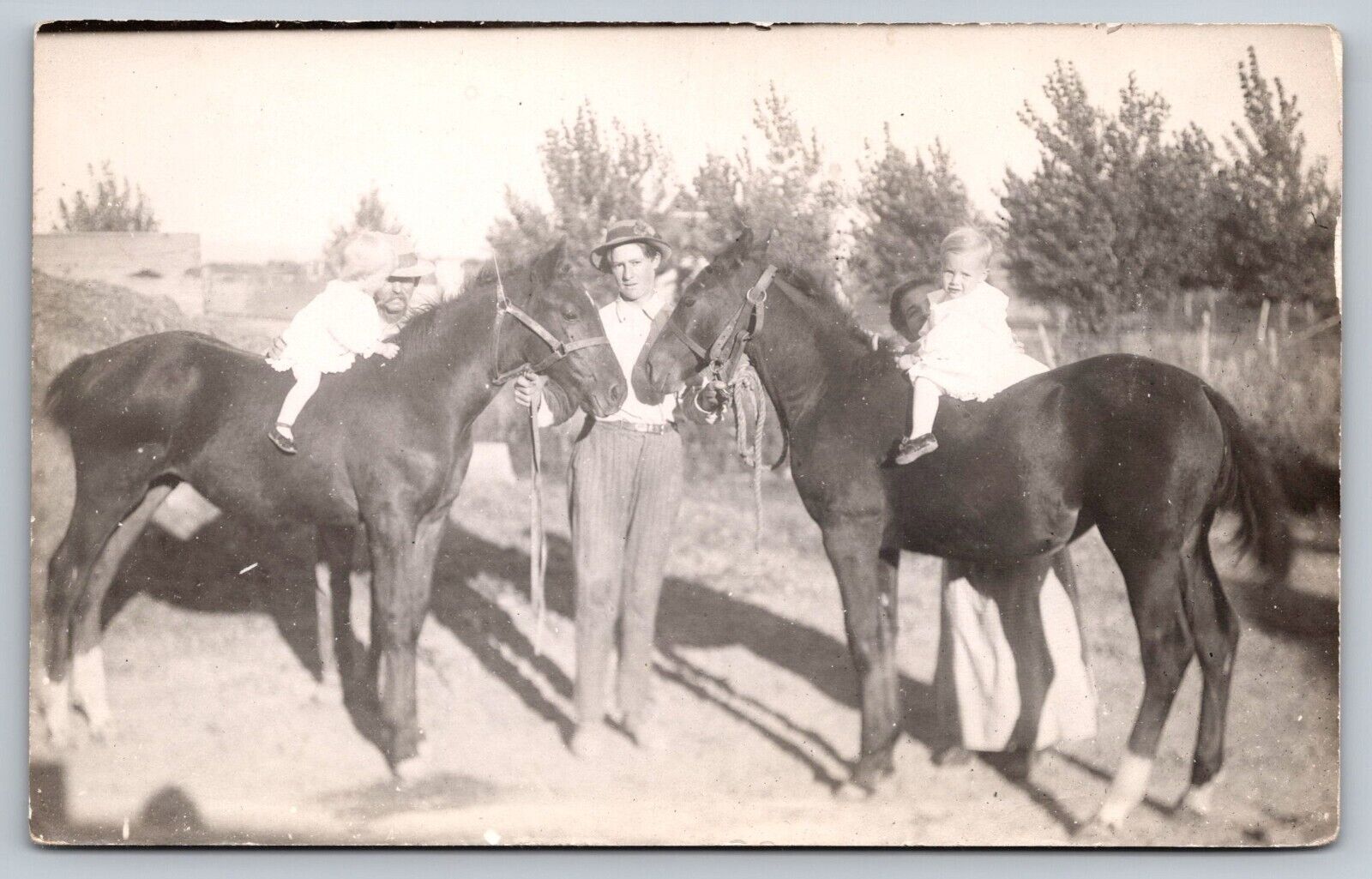 Postcard RPPC Horses 2 Colts shown by Family Owners c1910 A18