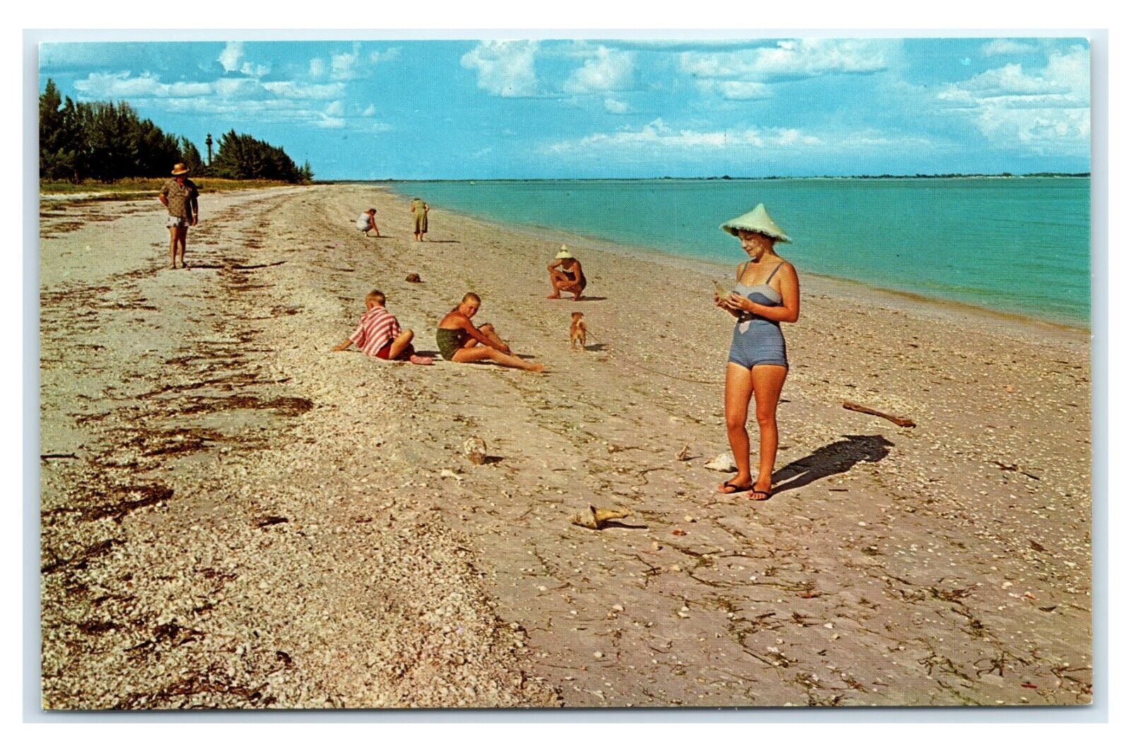 Postcard Shelling on World Famous Sanibel & Captive Island Beaches FL B17