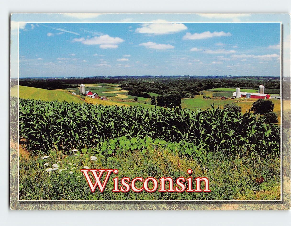 Postcard A Wisconsin Farm Landscape with Late Summer Crops USA