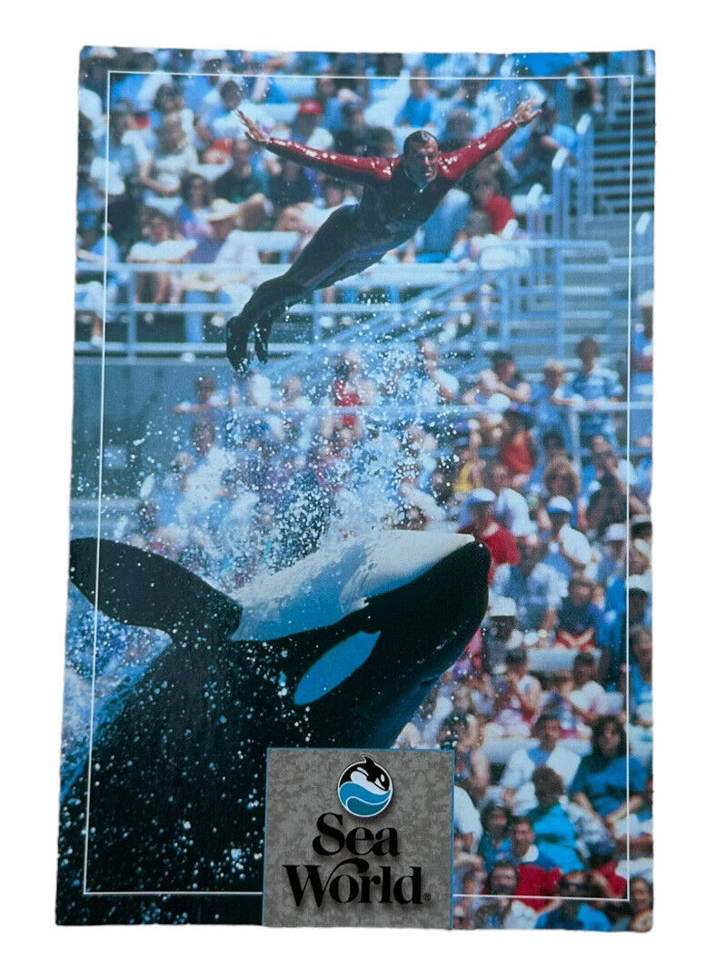 Sea World Postcard San Diego California Shamu Killer Whale 1995 USA Vintage