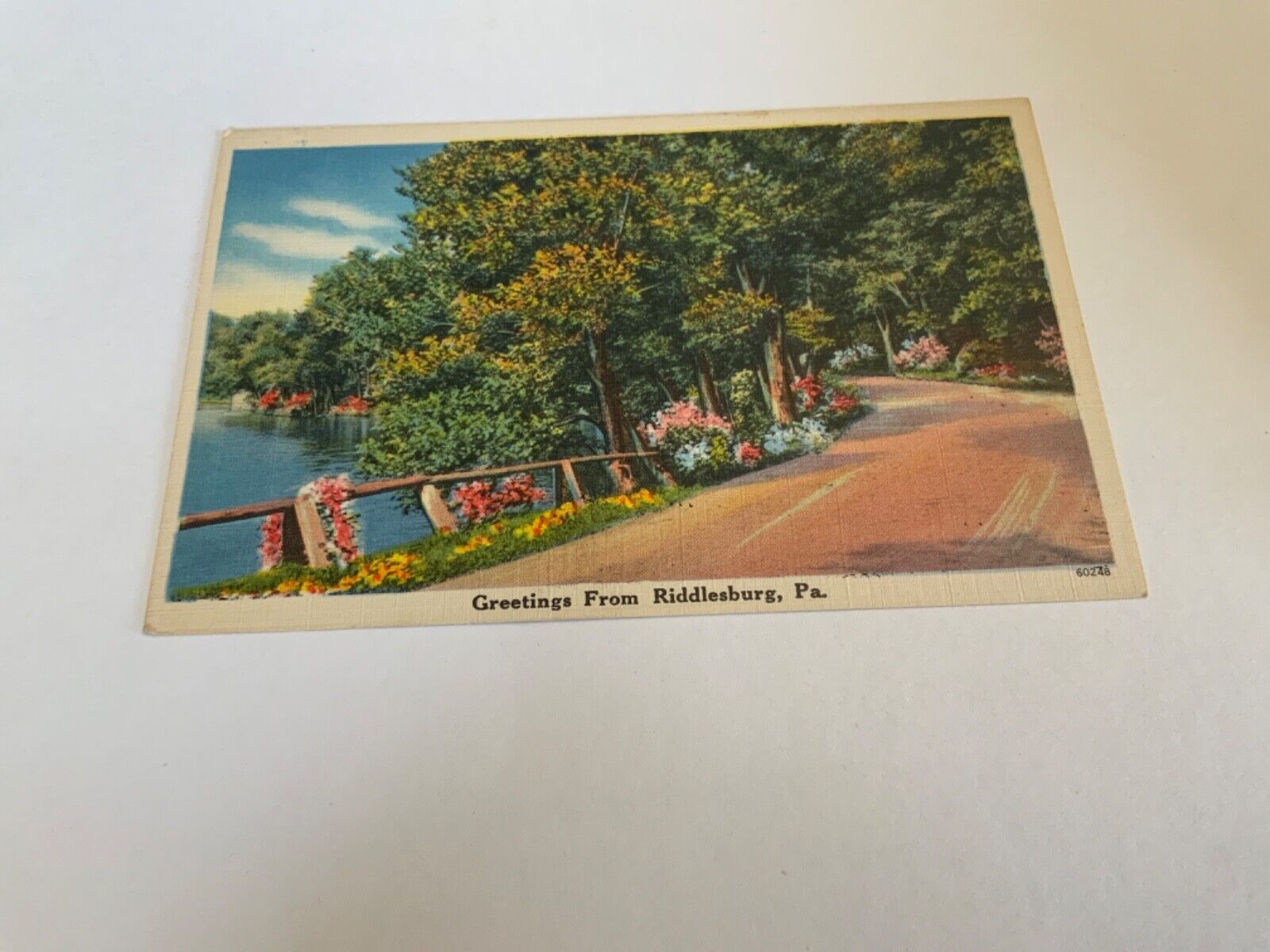 Riddlesburg, Pa. ~ Greetings - Floral Rural Road- Vintage Postcard