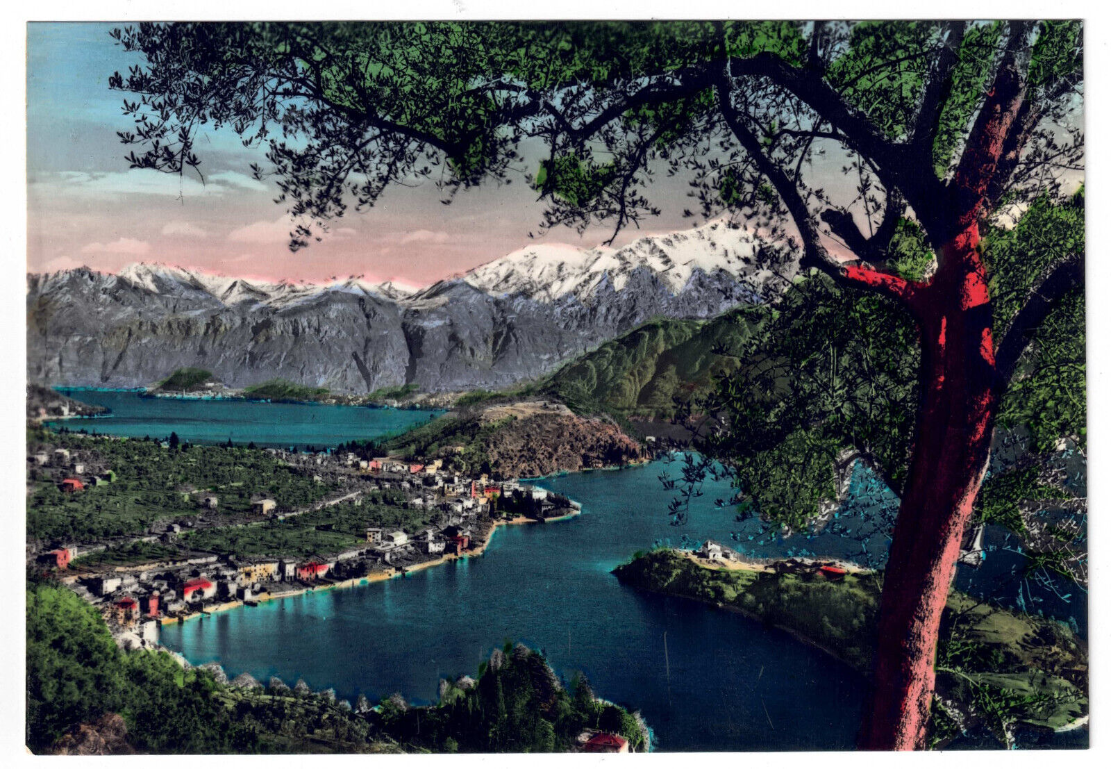 Bellagio Vista COMACINA ISLE Tremezzina Lake Como Italy UNP Mountains Postcard