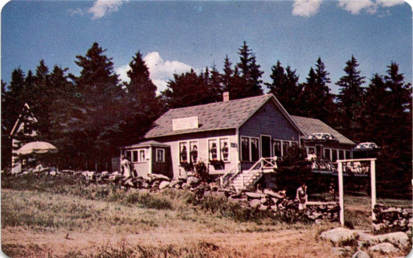 Maine, New England, Sea Gull Shop, Kodachrome, G. E. Postcard