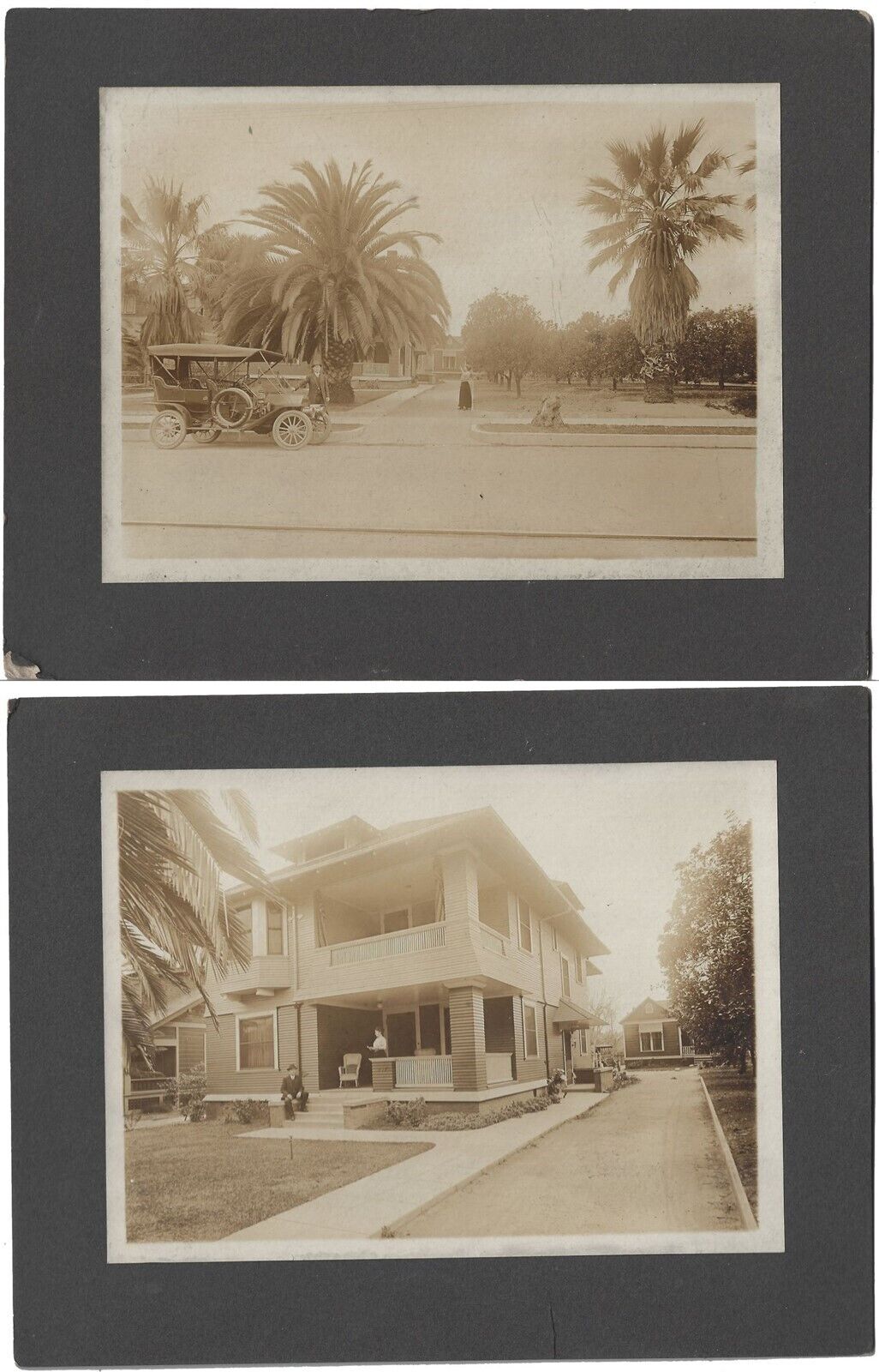 House Architecture California Fan Palm Tree Old Car 2 Vintage Photo Exterior