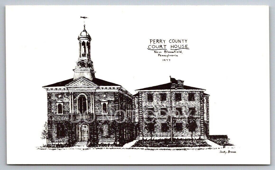 New Bloomfield PA Pennsylvania Postcard Perry County Court House Sketch RARE