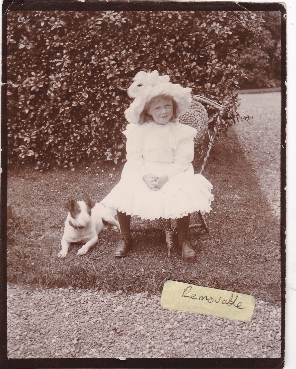 OLD PHOTO CHILDREN GIRL DRESS FASHION PET DOG ANIMAL SOCIAL HISTORY MR 166