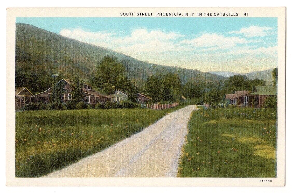 Phoenicia New York c1920\'s residences on South Street, Catskill Mountains