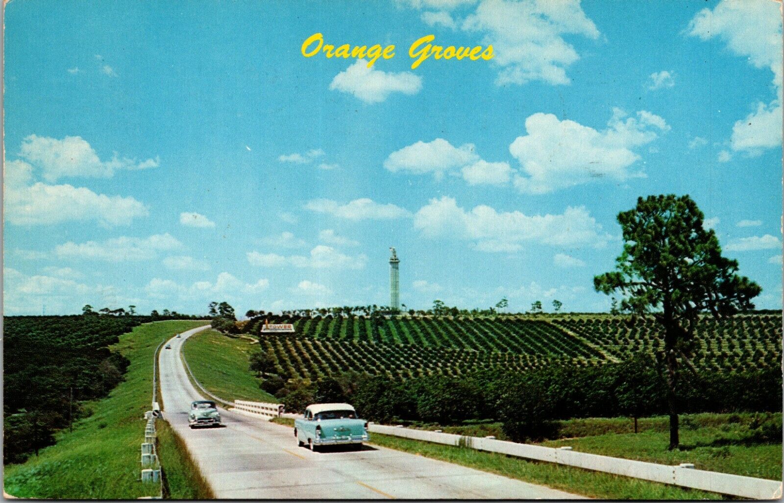 Postcard FL  Orange Groves Vintage View Old Cars 