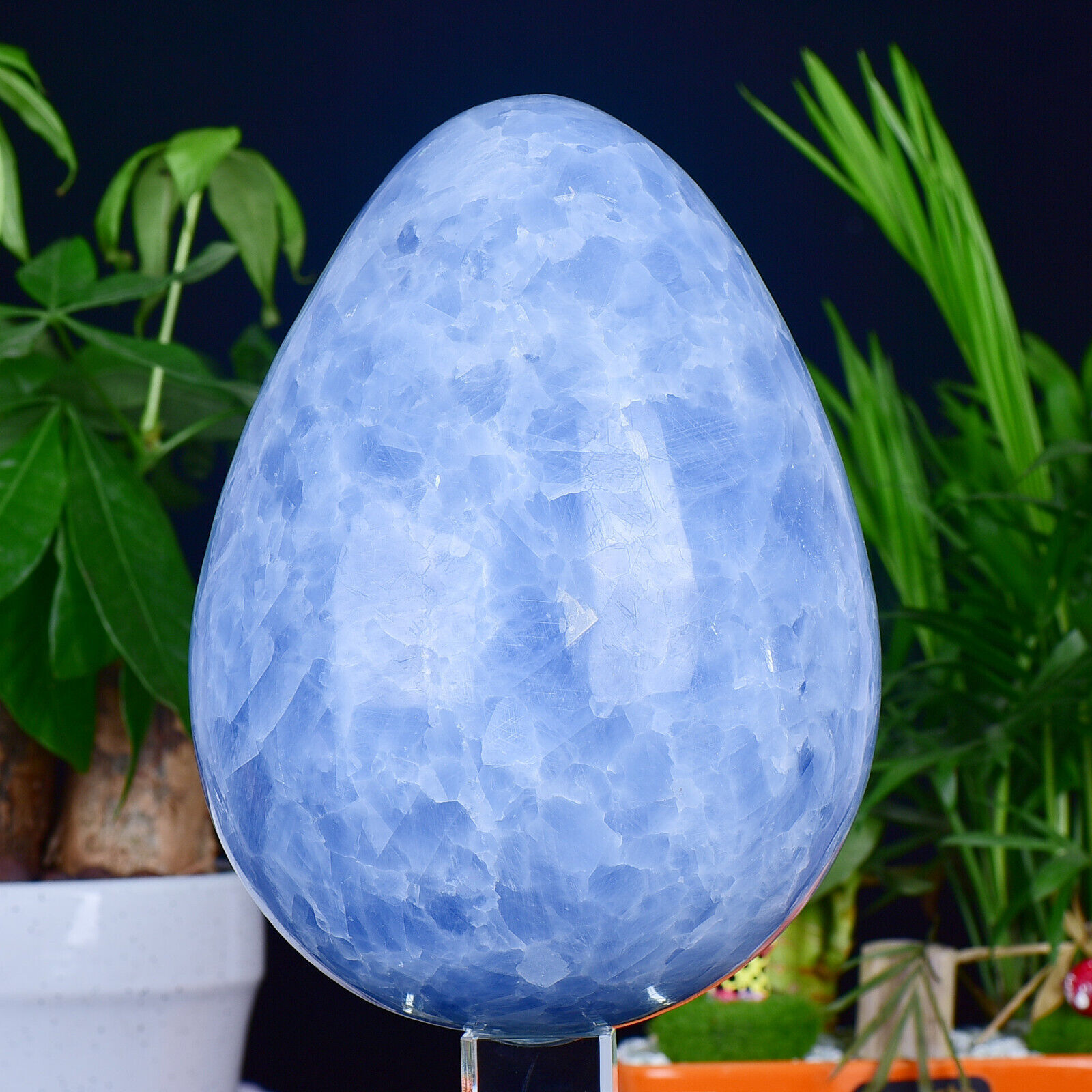 15.21LB Natural Polished Blue Celestite Quartz Crystal Stone Egg Specime healing