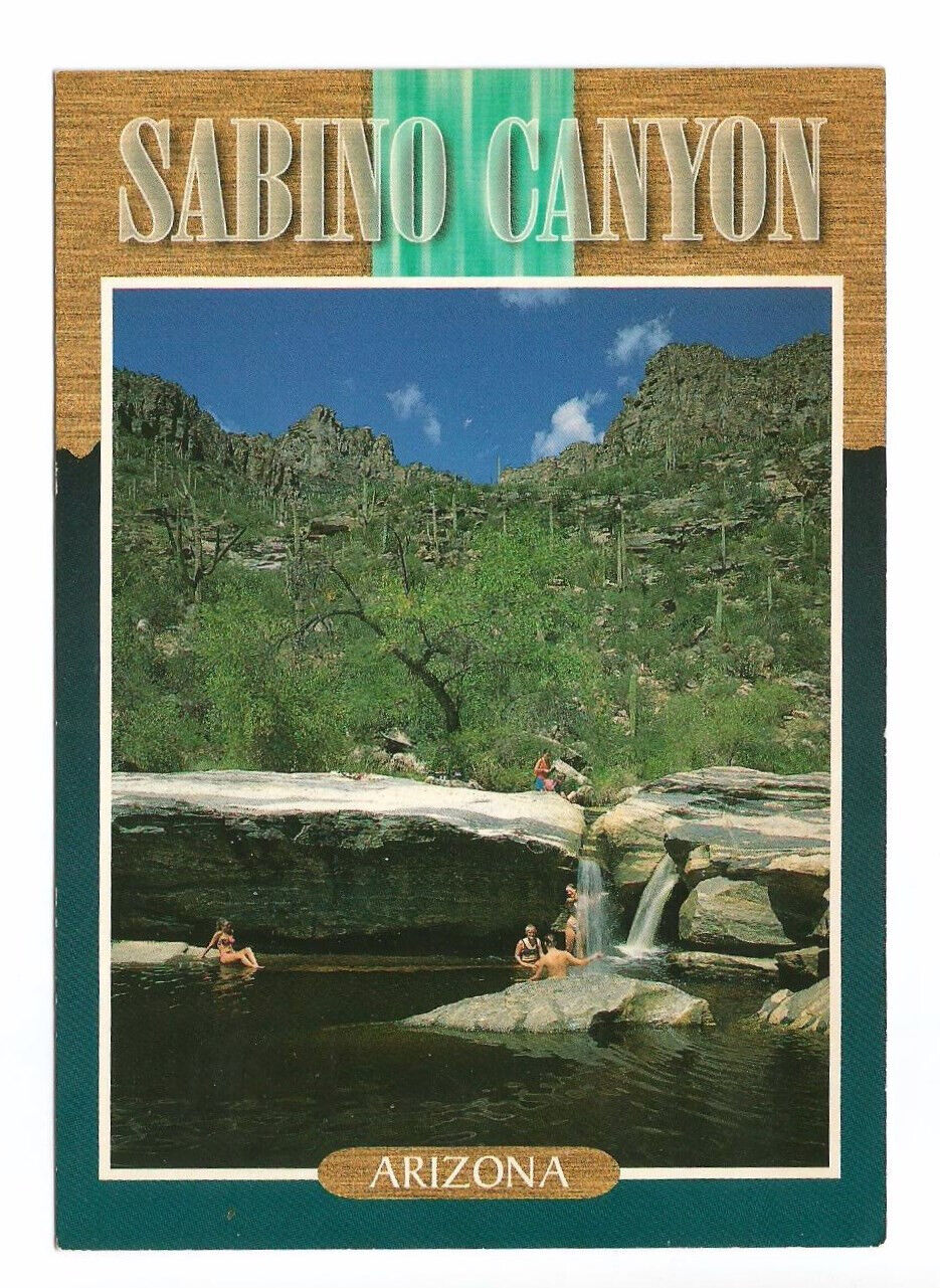 Tucson Arizona AZ Postcard Sabino Canyon
