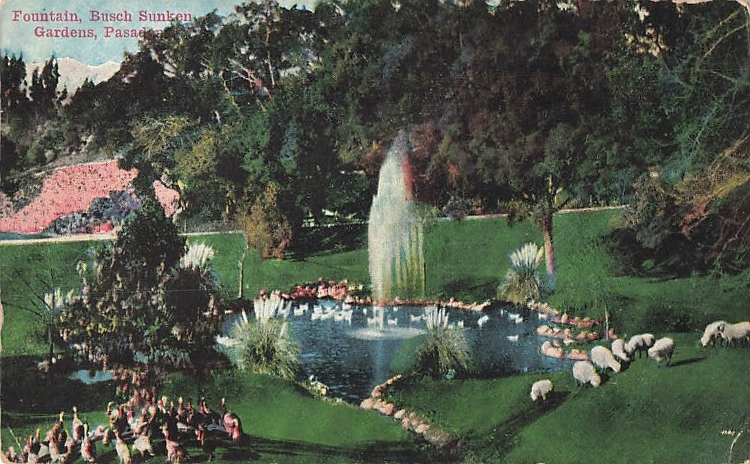 Postcard Fountain Busch Sunken Gardens Pasadena California DB