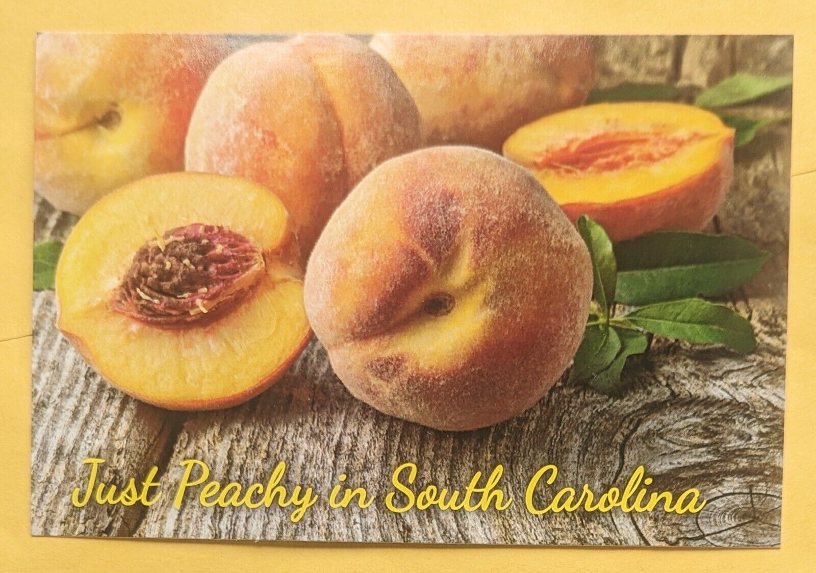 Postcard SC. Peaches. South Carolina 