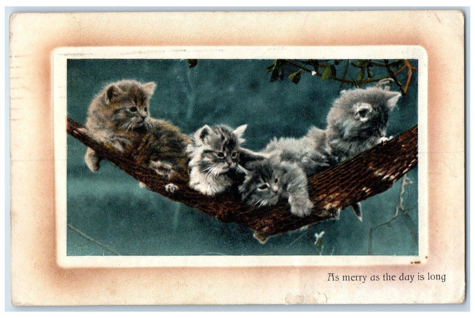 1910 Cute Kitten Hammock As Merry As The Day Is Long Vineland NJ Posted Postcard