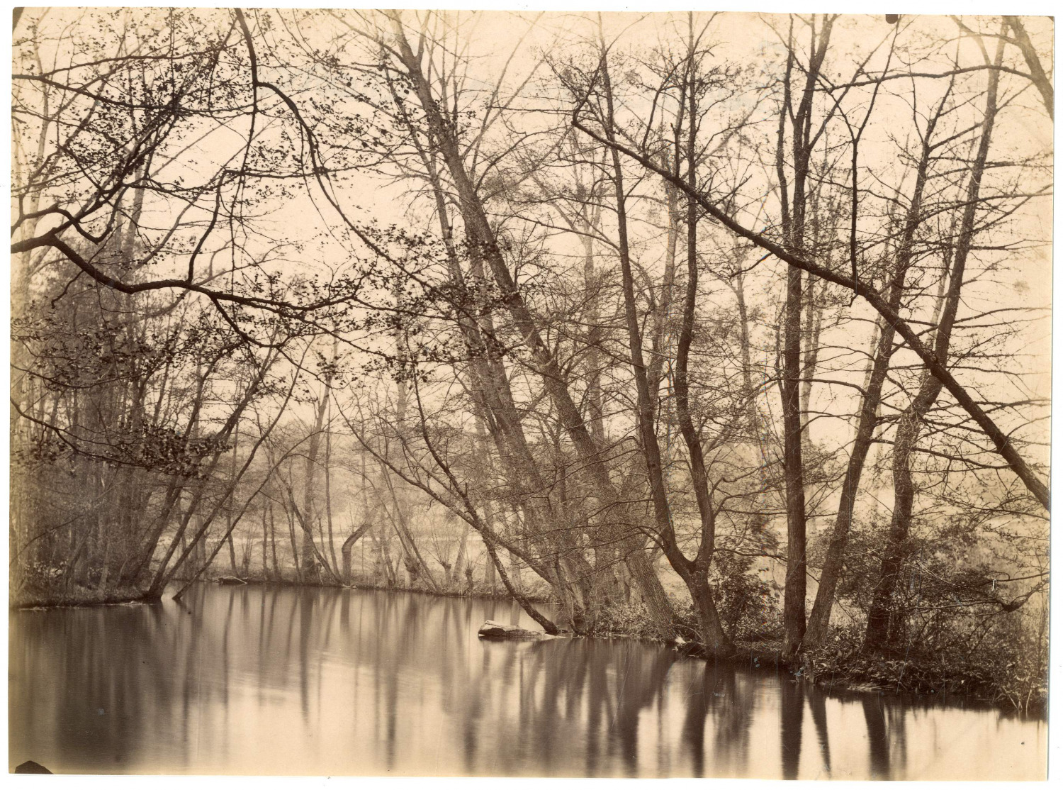 France, Seine-et-Oise, Etude Artistique, Pond & Trees Vintage Albumin Print
