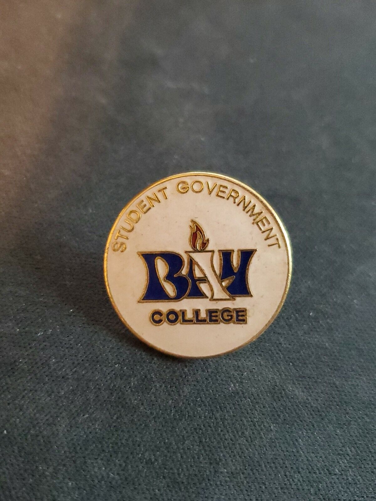 Student Government Bay College Pin vintage enamel AC