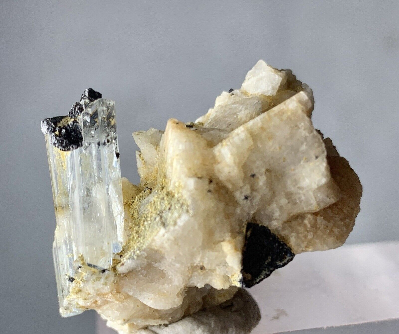 39 Carat Aquamarine Specimen Crystals From Pakistan