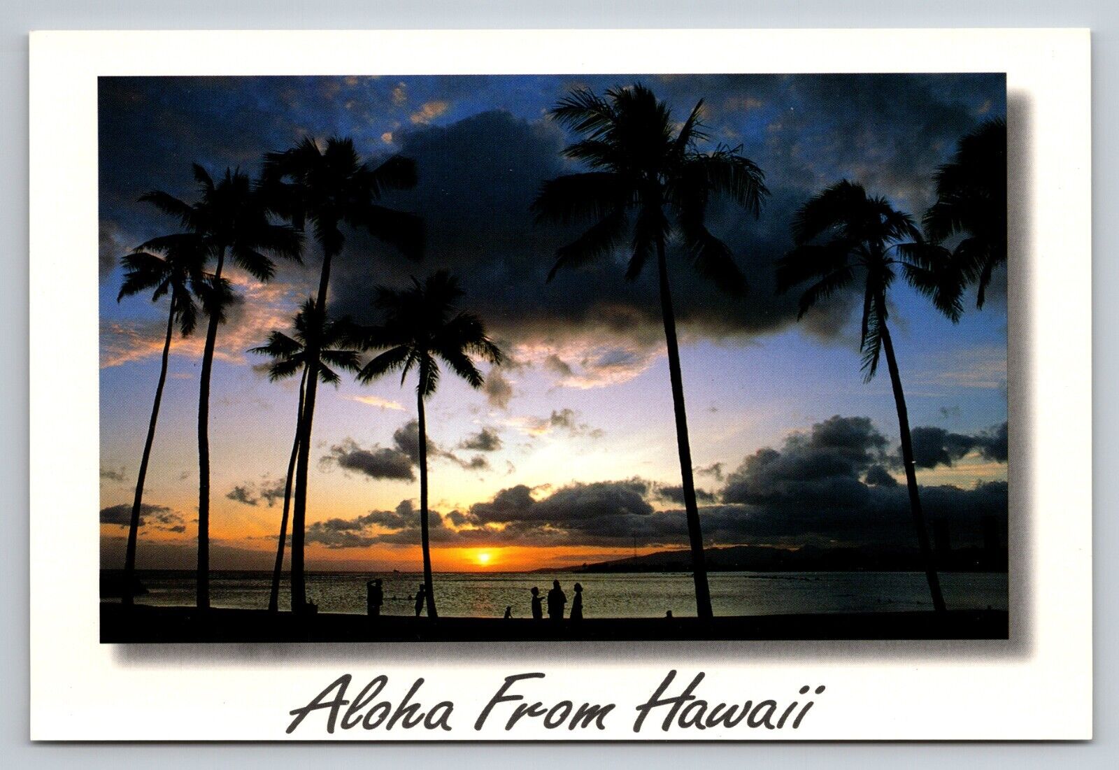 Aloha From Hawaii Vintage Unposted Postcard Sunset Palm Trees