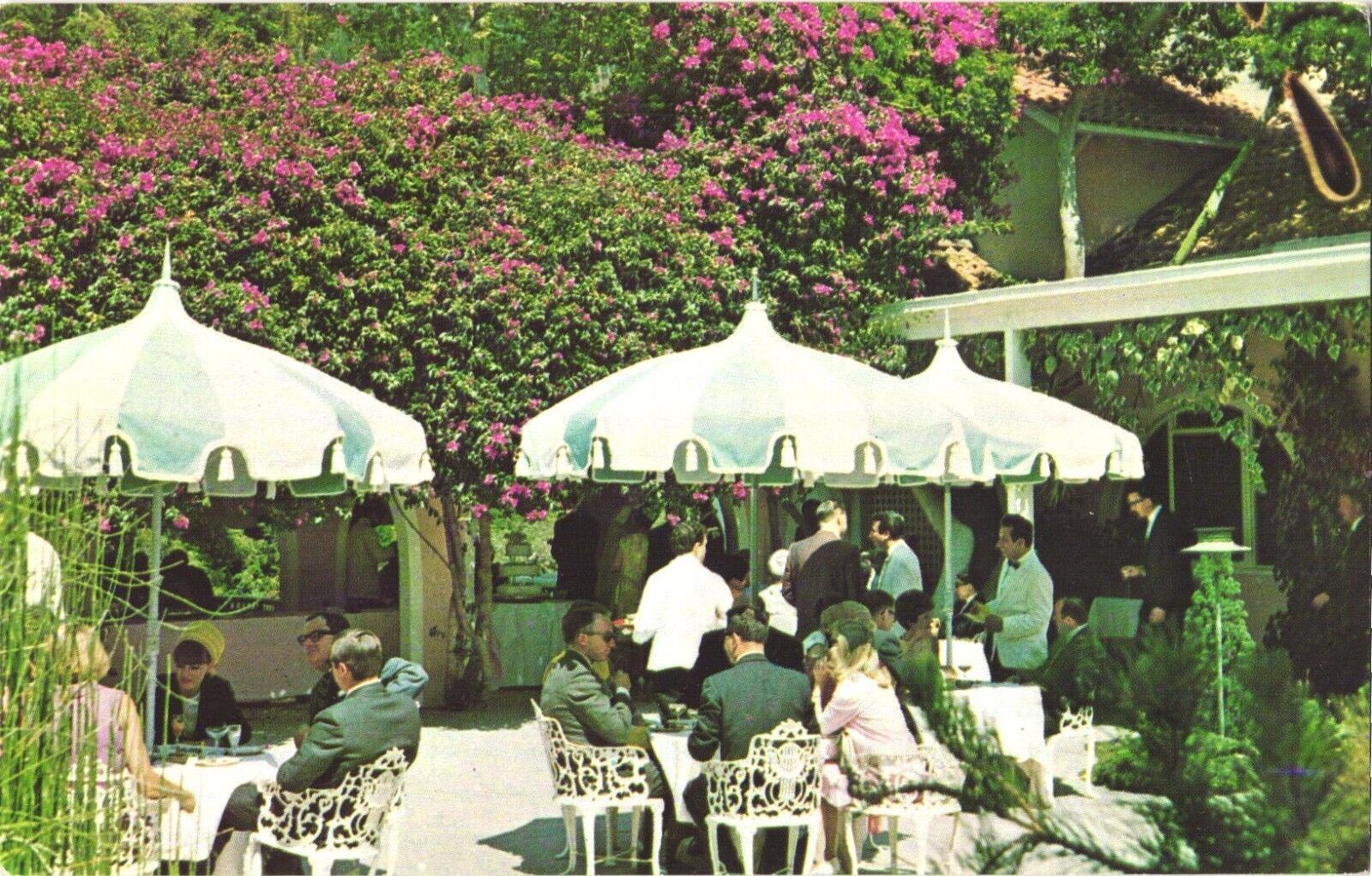 Los Angeles California Hotel Bel Air Luncheon Beautiful Garden Terrace Postcard
