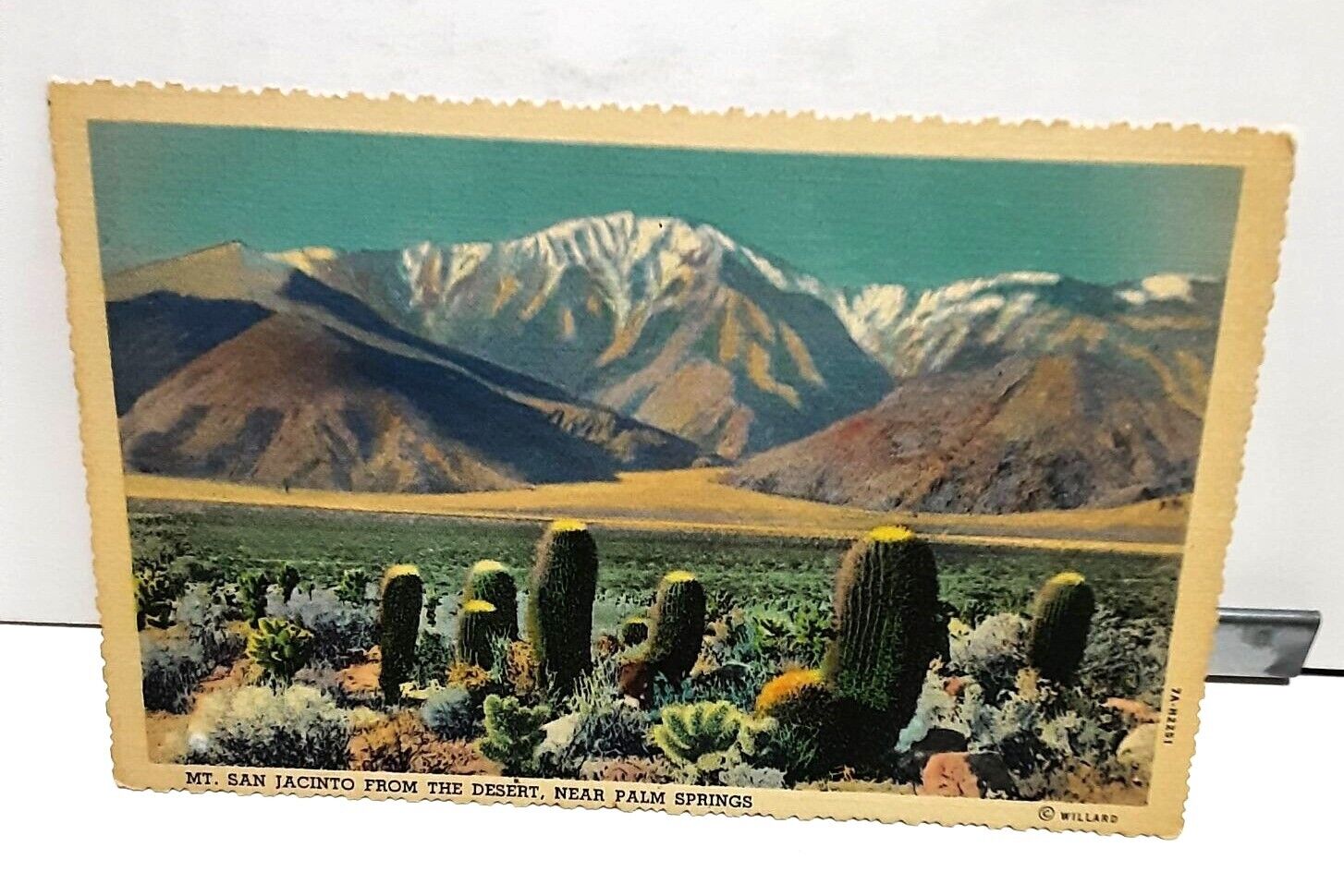 Vintage c 1920s Mt San Jacinto Palm Springs Post Card