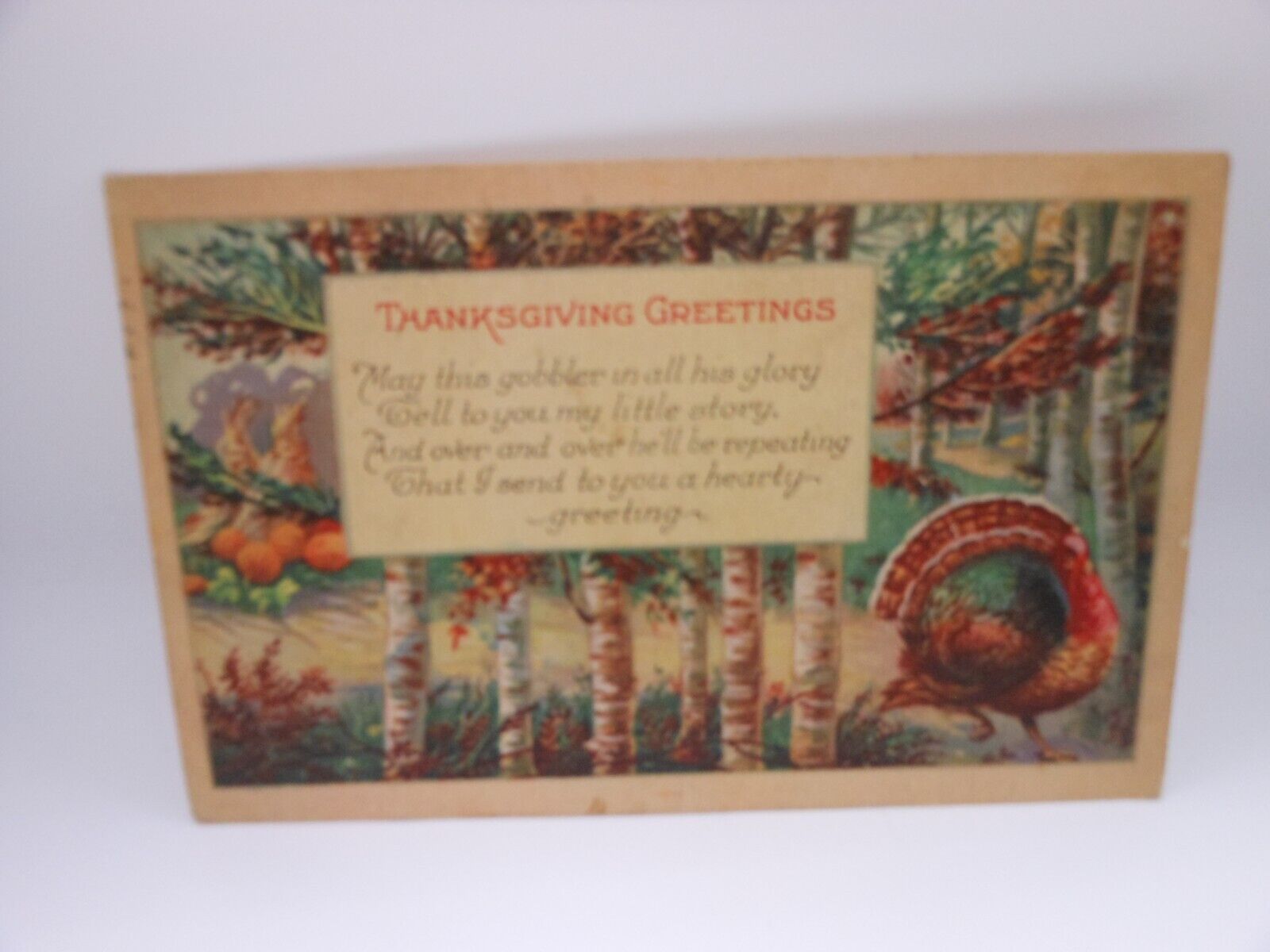 1924 Vtg Holiday Thanksgiving Greetings Post Card - Posted