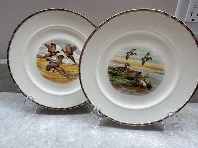 2 Very SPECIAL, Crooksville, USA, Fowl Hunting 9\' Gold Rim Plates