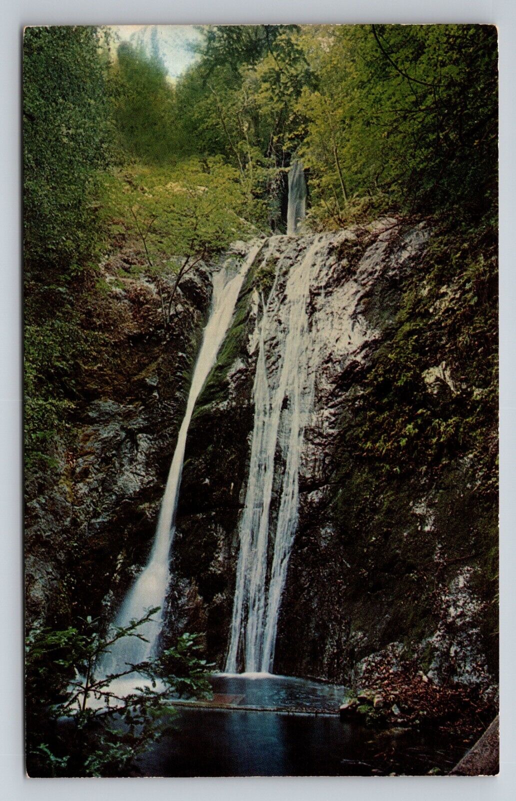 Pfeiffer Big Sur State Park California Vintage Unposted Postcard