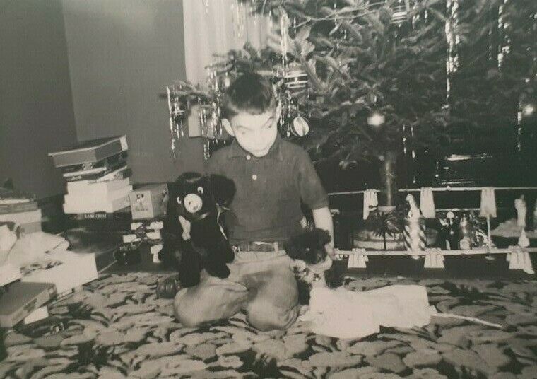 Possessed Christmas Puppy Morning Vintage Photograph