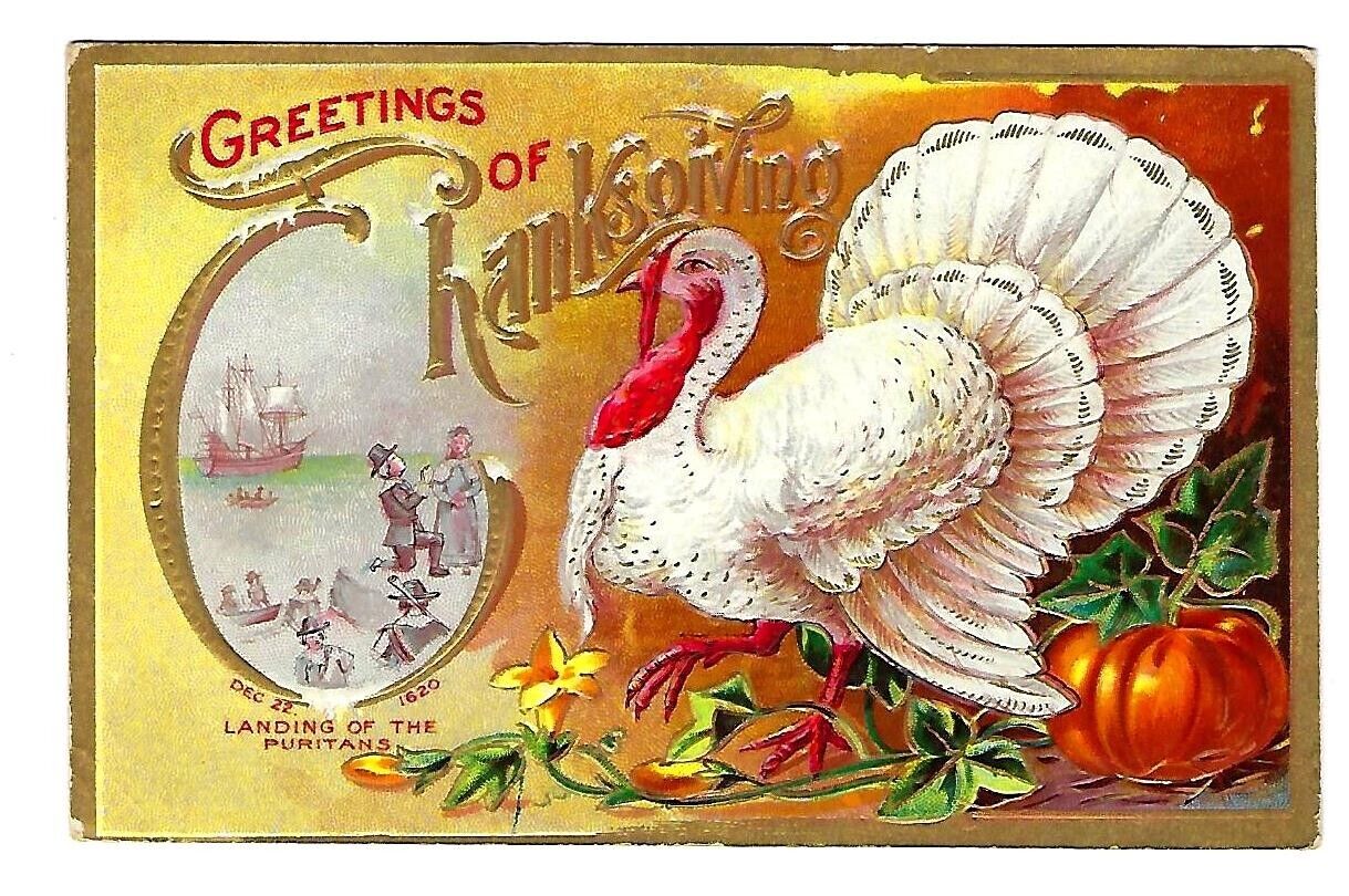 c1909 Thanksgiving Postcard #3 White Turkey \