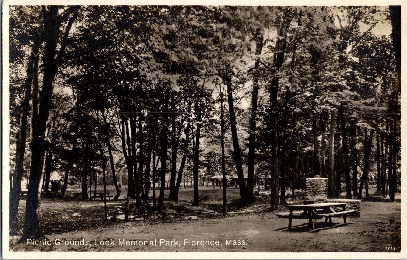 RPPC Picnic Grounds, Look Memorial Park, Florence MA Vintage Postcard I44