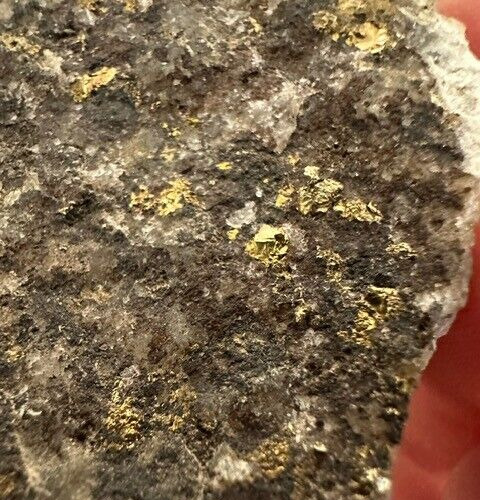 Pure Gold and Silver Quartz Ore - Rich Vein Mineral Specimen