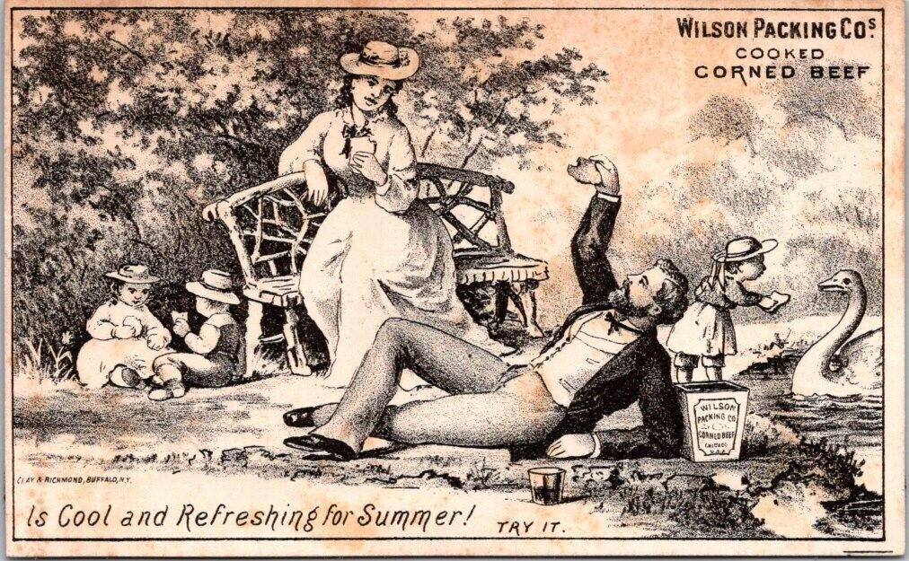Wilson Packing Co Cooked Corn Beef Feeding Swan Picnic Park Summer HQV1