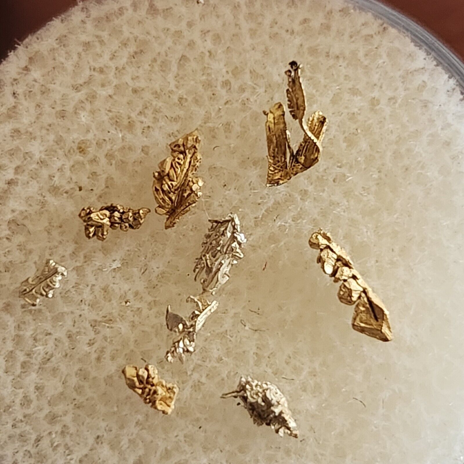 Native Gold Wire Crystallized Gold Quartz nugget specimen Collector Lot #20 8pcs