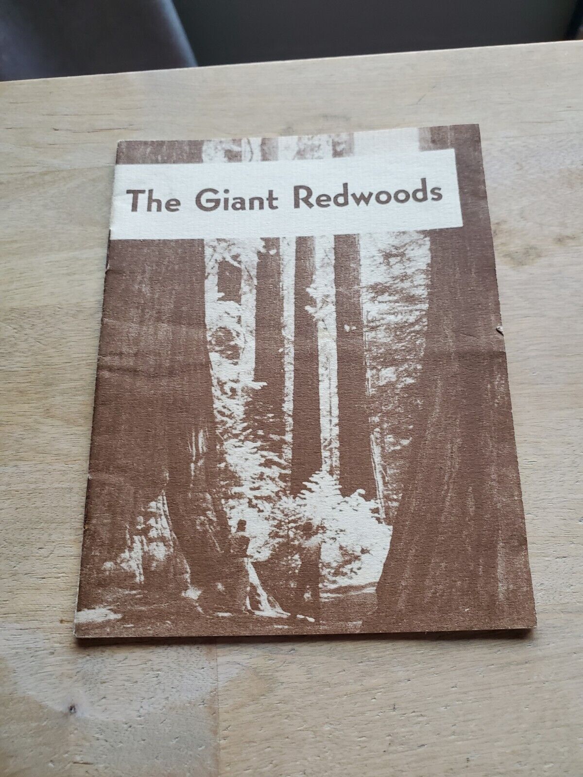 THE GIANT REDWOODS: HARRIET E. WEAVE: THREE RACOONS PRESS: '48