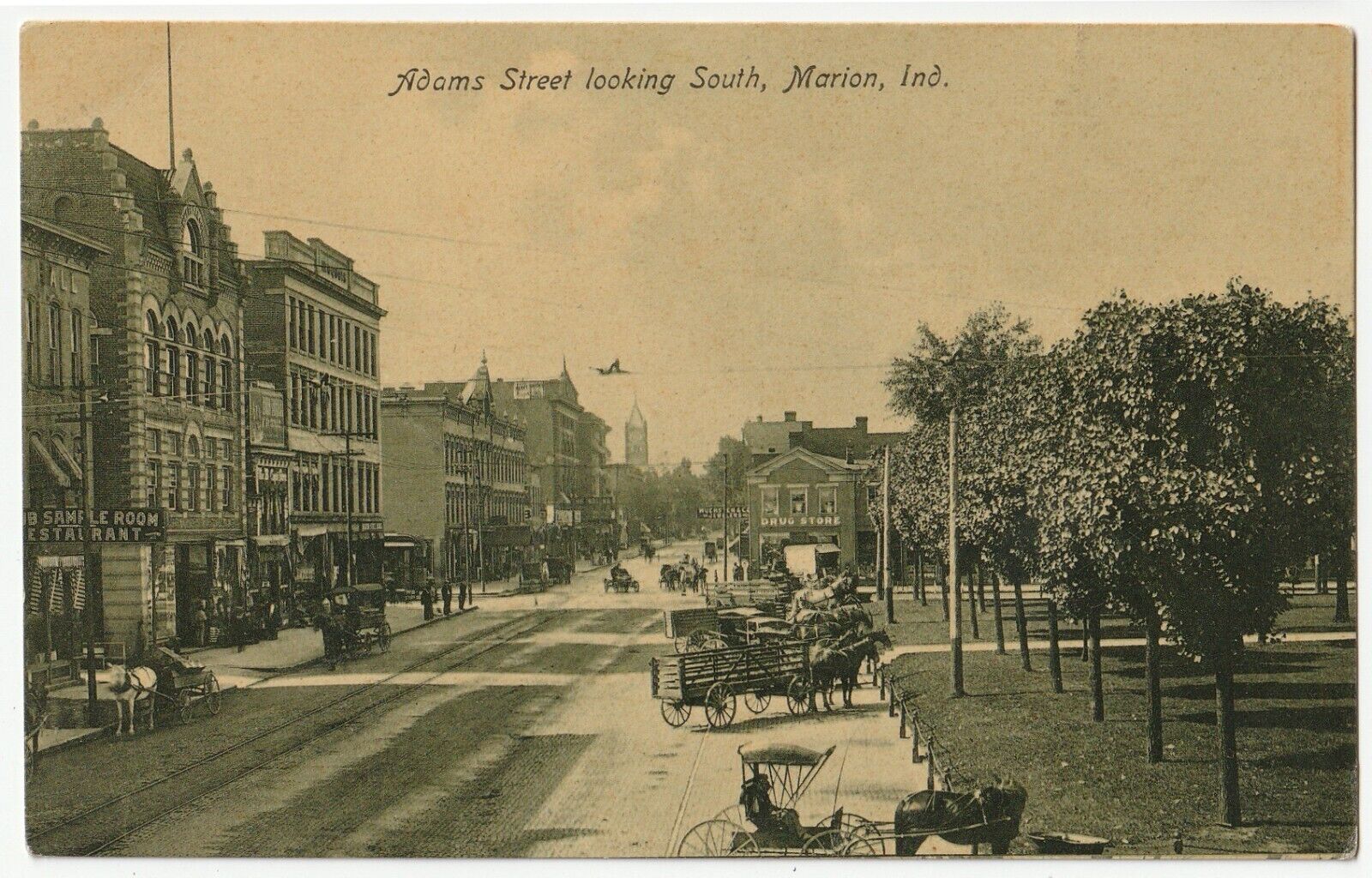 Marion, Indiana - Adams Street Looking South - c1908 postcard