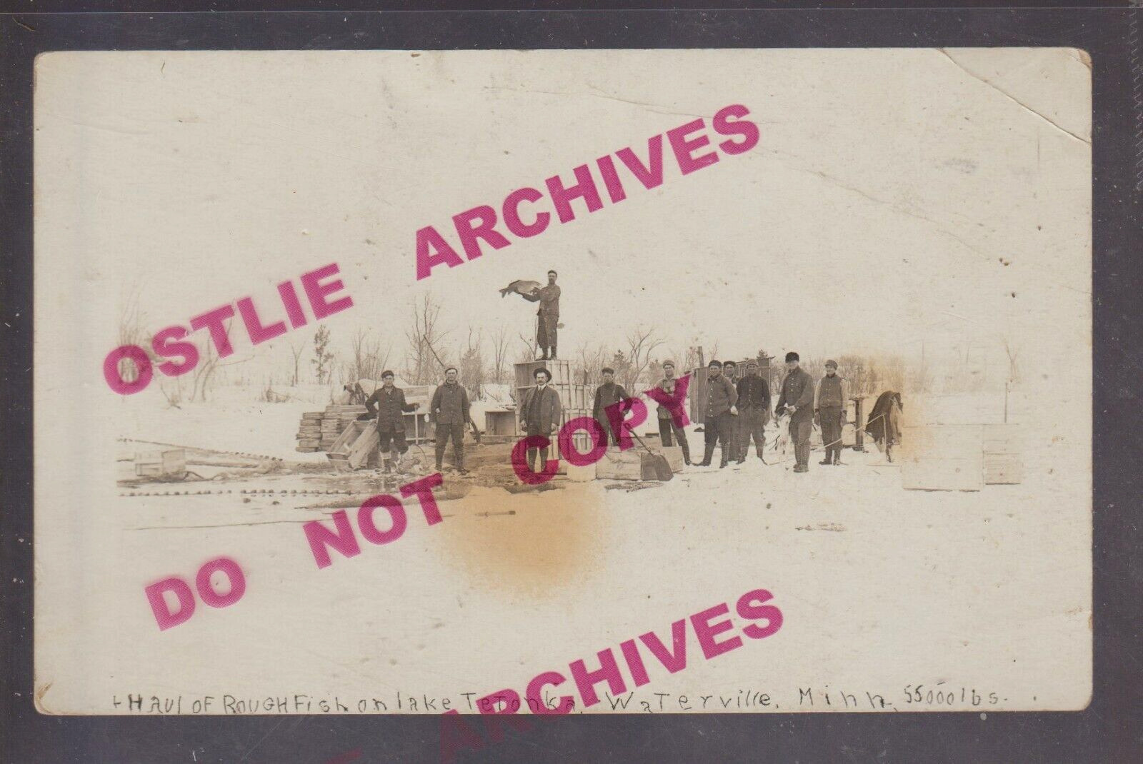 Waterville MINNESOTA RPPC c1910 COMMERCIAL FISHING 55,000 lbs ROUGH FISH MN