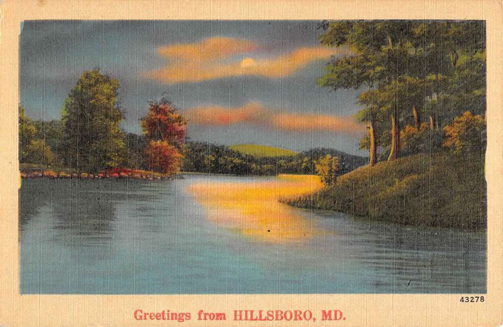 Hillsboro Maryland Scenic Waterfront Greeting Antique Postcard K90253