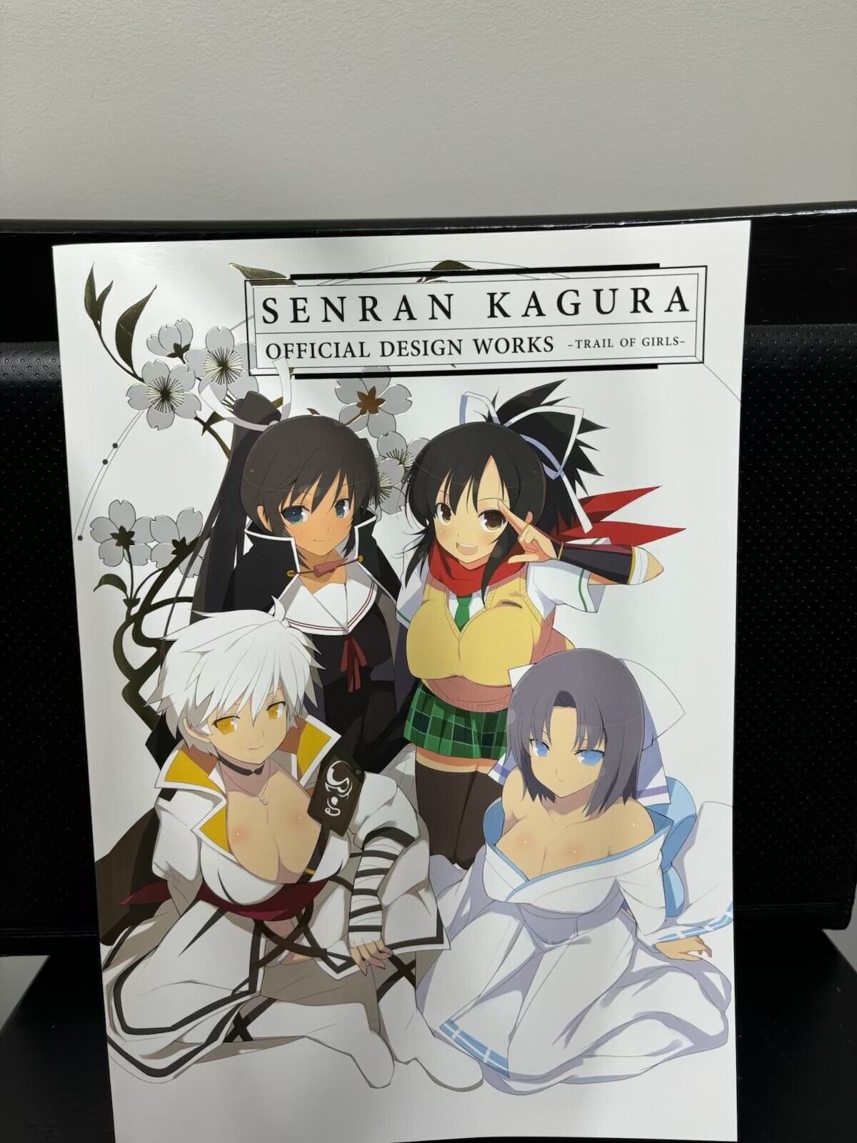 Senran Kagura Official Design Works Art Book RARE ENGLISH EDITION 