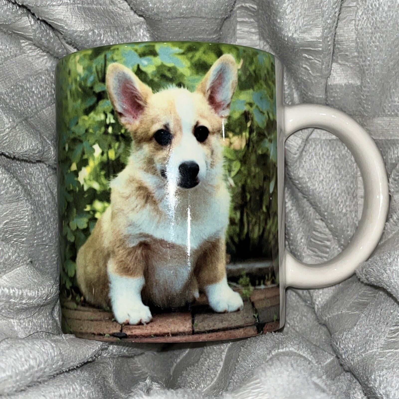 Vintage 1994 Barbara Augello Dog Photo Coffee Cup Tea Mug Corgi Pembroke Welsh