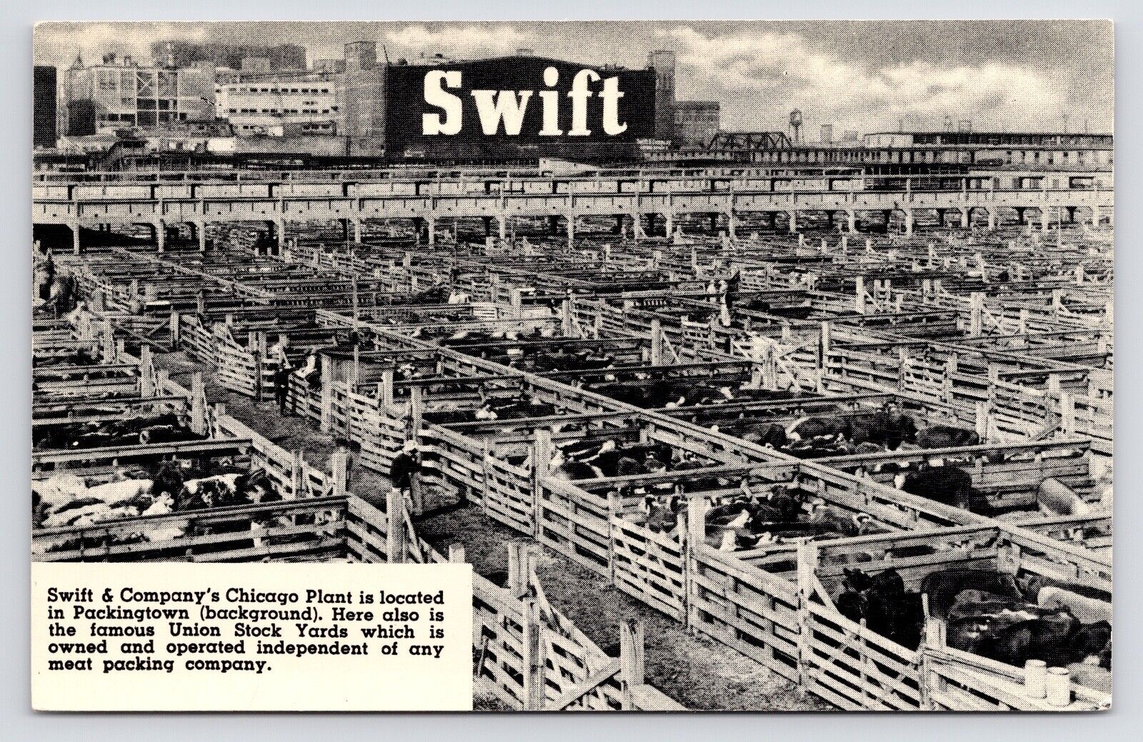 c1940s~Swift & Co~Union Stock Yards~Factory~Packingtown~Chicago IL~Vtg Postcard