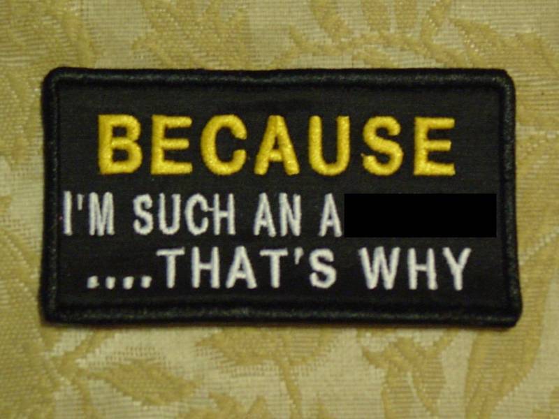 BECAUSE I\'M SUCH AN  embroidered biker patch motorcycle